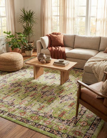 9' x 12' Lucerne Rug
