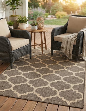 4' x 6' Dunes Rug