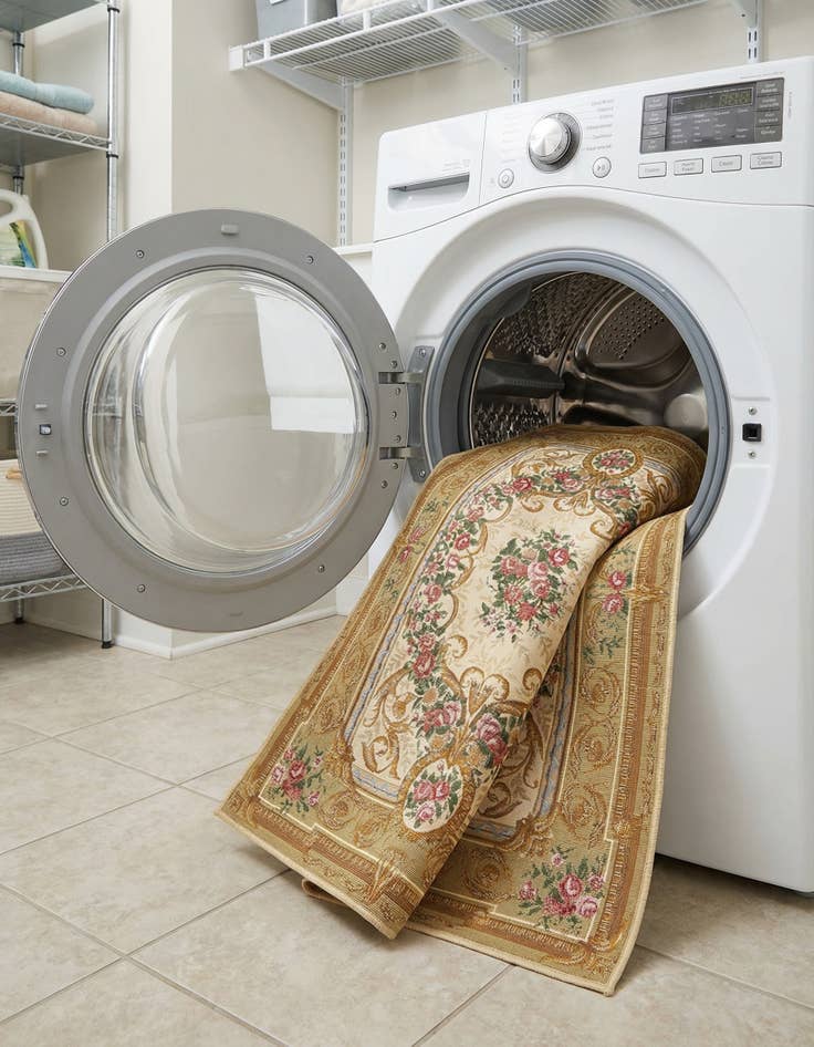 Detail image of  4' x 6'  Washable Traditional Indoor / Outdoor Rug