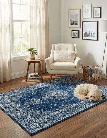 4' x 6' Dover Rug