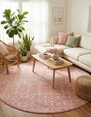 7' 10 x 7' 10 Paxon Trellis Round Rug