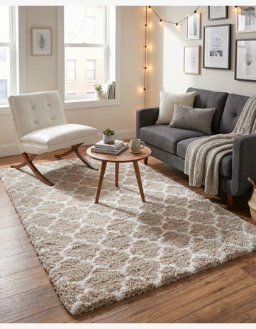 4' x 6' Marrakesh Shag Rug