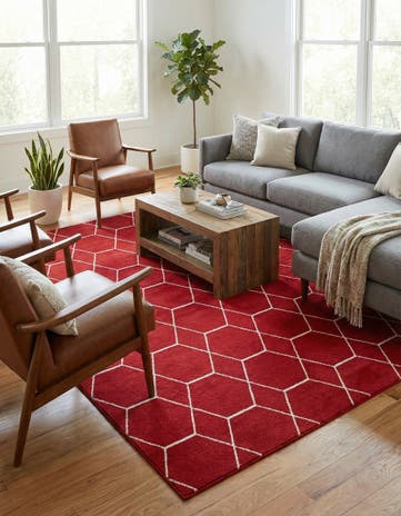 10' x 14' Lattice Frieze Rug