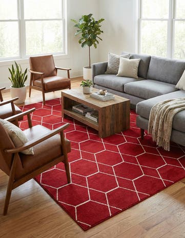 10' x 14' Lattice Frieze Rug