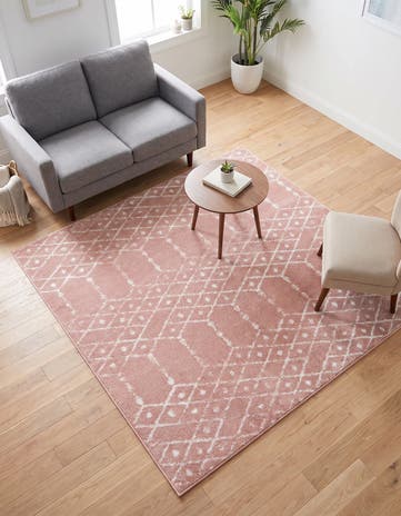 5' 3 x 5' 3 Paxon Trellis Square Rug