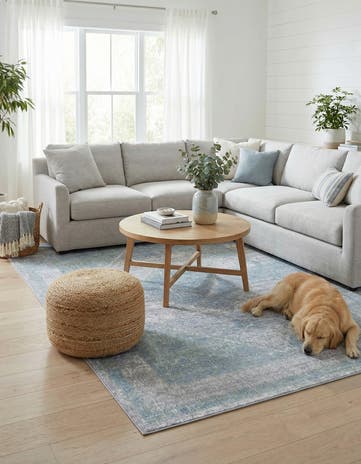 6' x 9' Kamala Washable Rug