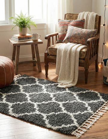 2' 2 x 3' Athena Shag Rug