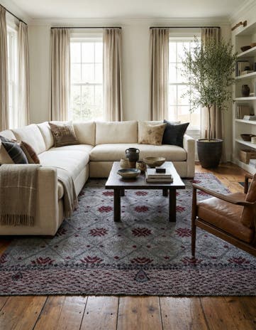 8' 2 x 11' 6 Hand Knotted Darya Wool Rug