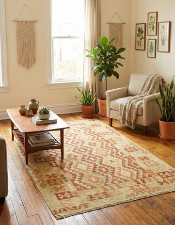 3' 9 x 6' 3 Hand Woven Kilim Waziri Wool Rug