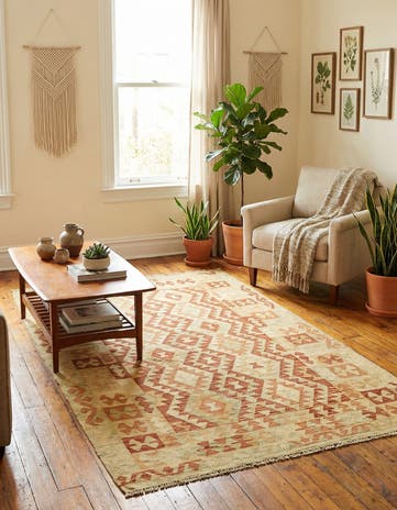 3' 9 x 6' 3 Hand Woven Kilim Waziri Wool Rug