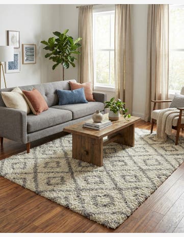 6' x 9' Trellis Shag Rug