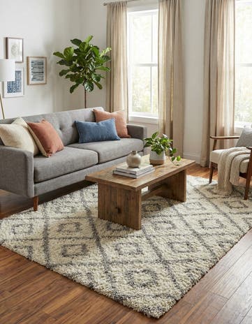 6' x 9' Trellis Shag Rug