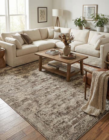 10' x 14' Mojave Rug