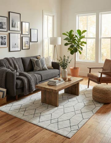 6' x 9' Lattice Trellis Rug
