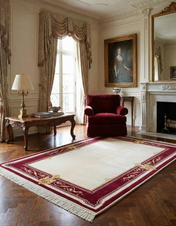 4' x 6' Darya Rug