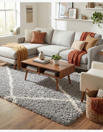 Ash Gray Infinity Shag Rug