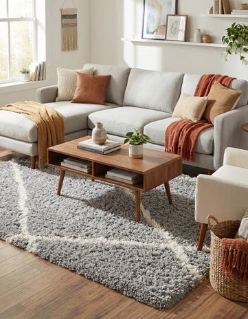 4' x 6' Infinity Shag Rug