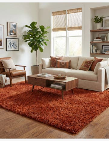 5' 2 x 6' 9 Hand Knotted Solid Shag Oriental Rug