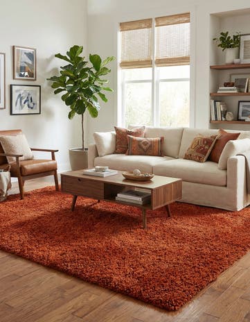 5' 2 x 6' 9 Hand Knotted Solid Shag Oriental Rug