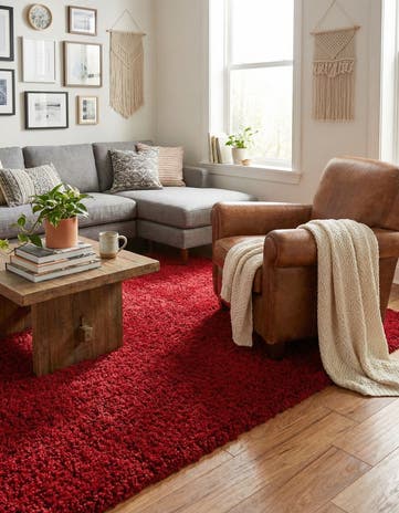 4' x 6' Solid Shag Rug
