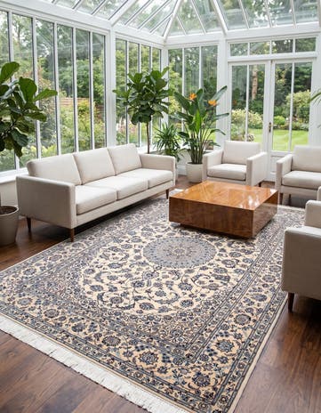 6' 7 x 9' 11 Nain Rug