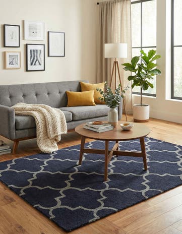 4' x 6' Luna Rug