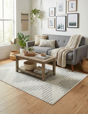 4' x 6' Kai Rug