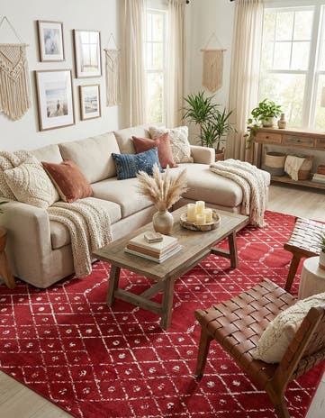 10' x 13' Paxon Trellis Rug
