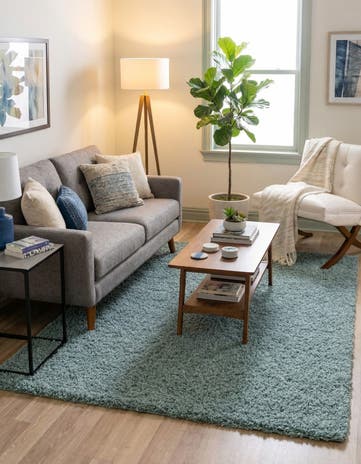 6' x 9' Solid Shag Rug
