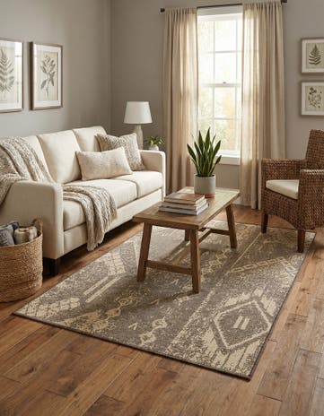 4' x 6' Dunes Rug