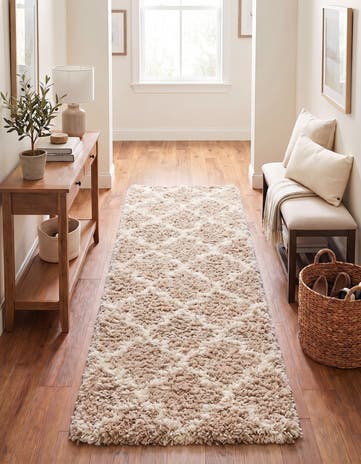 2' x 5' Moroccan Trellis Shag Runner Rug