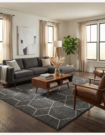 8' x 10' Trellis Frieze Rug