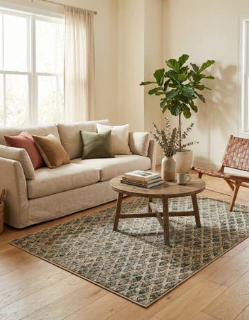 3' 3 x 5' 3 Stella Rug