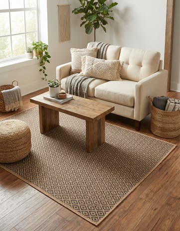 4' 3 x 6' Dunes Rug