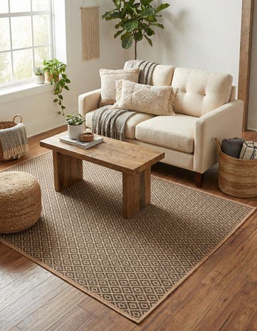 4' 3 x 6' Dunes Rug