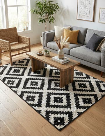 4' x 6' Odyssey Rug