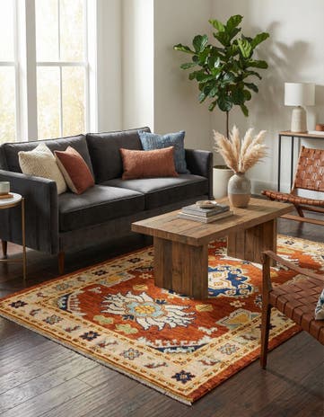4' x 6' Hand Knotted Darya Wool Rug