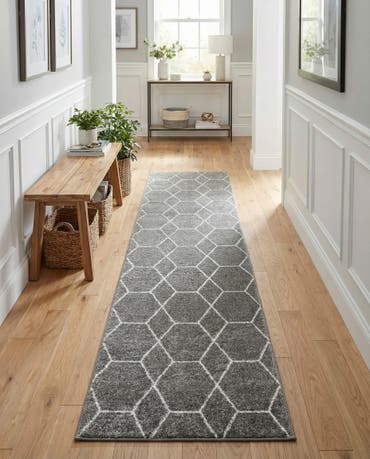  2' 7 x 12' Lattice Frieze Runner Rug