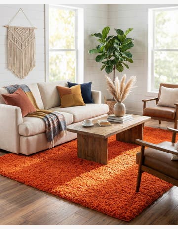 10' x 13' Solid Shag Rug