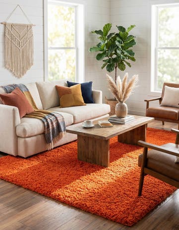 10' x 13' Solid Shag Rug