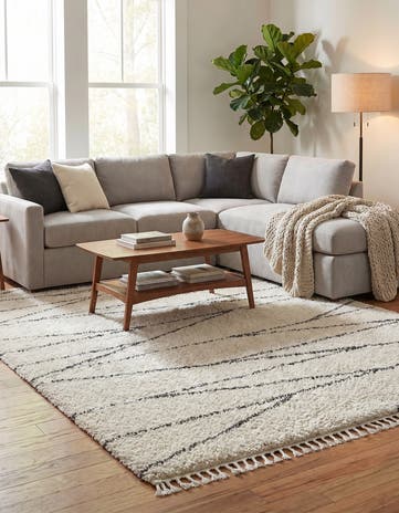10' x 14' Serenity Shag Rug
