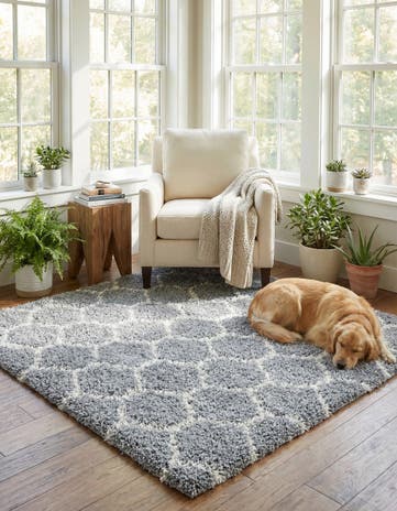 6' x 6' Lattice Shag Square Rug