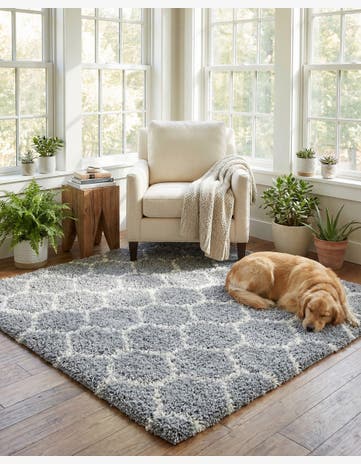 Gray Trellis Shag Square Rug