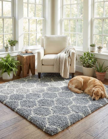 6' x 6' Lattice Shag Square Rug