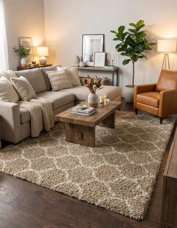 9' x 12' Lattice Shag Rug