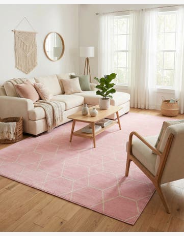 9' x 12' Trellis Frieze Rug