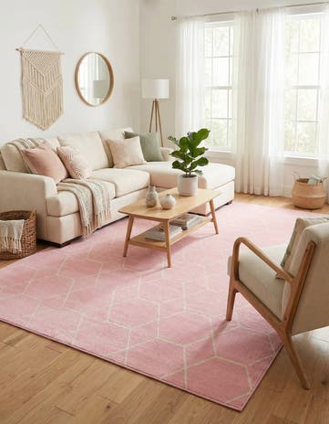 9' x 12' Lattice Frieze Rug