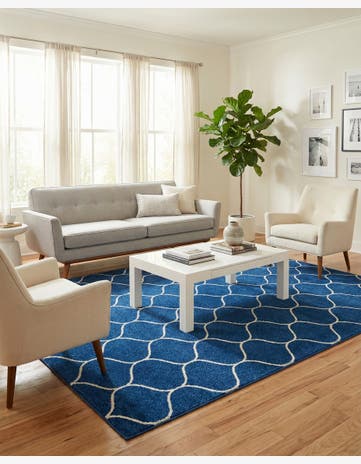 6' x 9' Trellis Frieze Rug