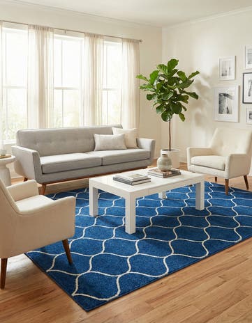 6' x 9' Lattice Frieze Rug