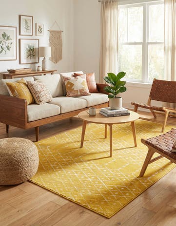 5' 3 x 8' Paxon Trellis Rug